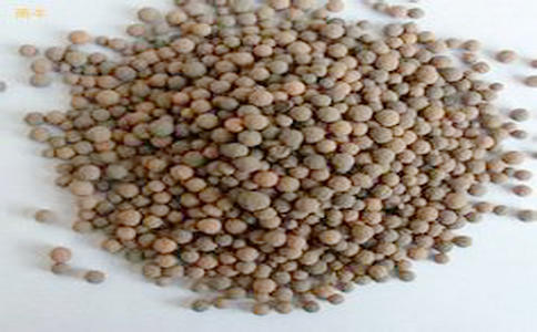(图d)生物陶粒滤料